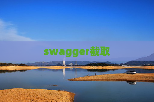 swagger截取
